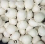 Best Sweet & Sour Pork in West Palm Beach, FL