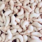 Best Sweet & Sour Shrimp in West Palm Beach, FL